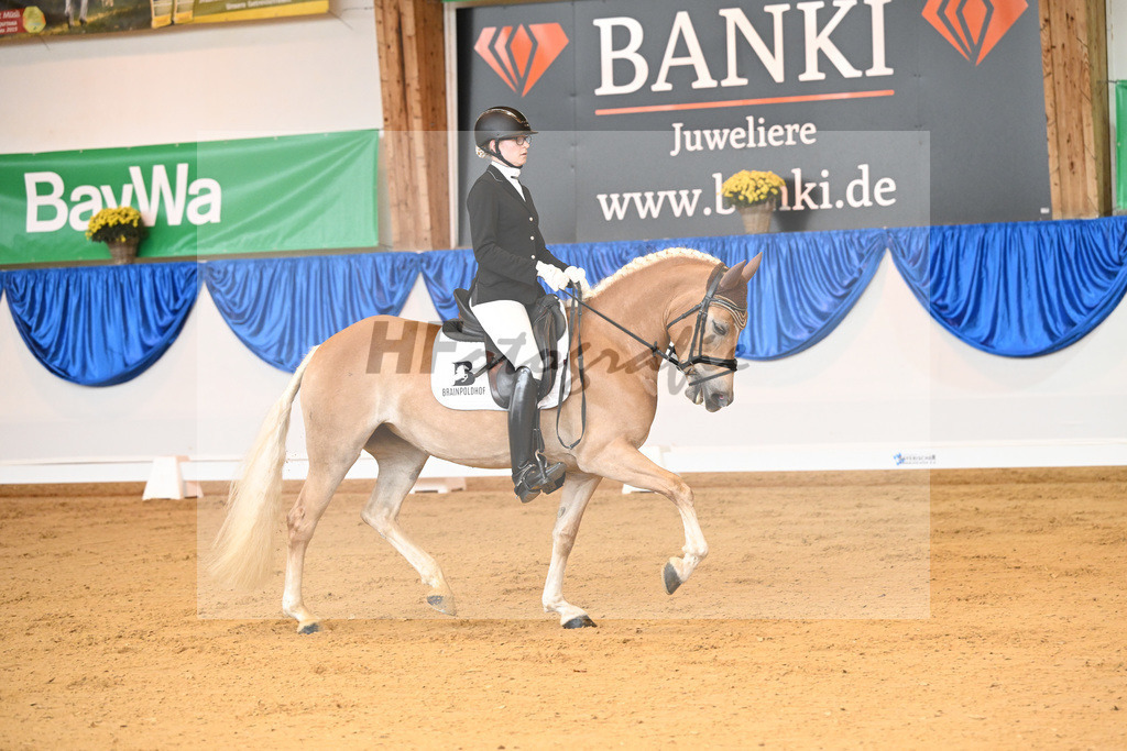 Kat-Nr. 293 Only_Aicher_54221686 | hf-fotografie - Realisiert mit Pictrs.com