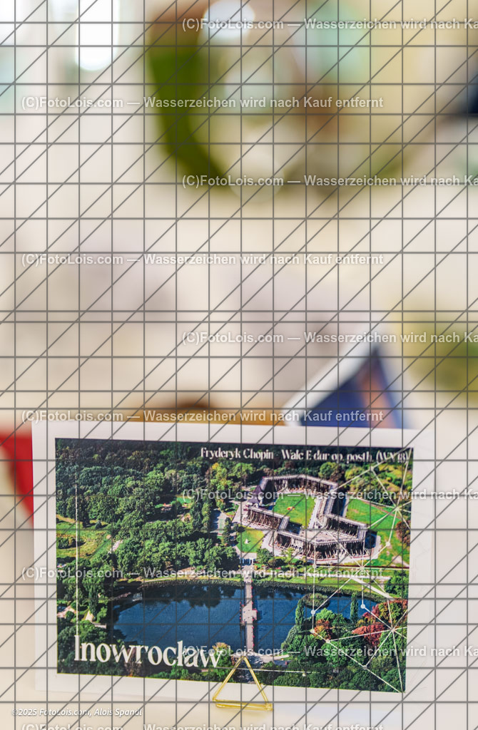 _ALP3545_Dinnerkonzert | XLI. CHOPIN-Festival - Prätatensaal, Sa 16. Aug. 2025, 13.00 Uhr, DINNERKONZERT, festliches Mittagessen mit musikalischen Darbietungen, Gewidmet Johann Strauss (200. Geburtstag) und Frédéric Chopin.    Manfred Wagner-Artzt - Klavier, Vera Kostner - Violine und Elias Tiefenbacher - Jazz-Piano.