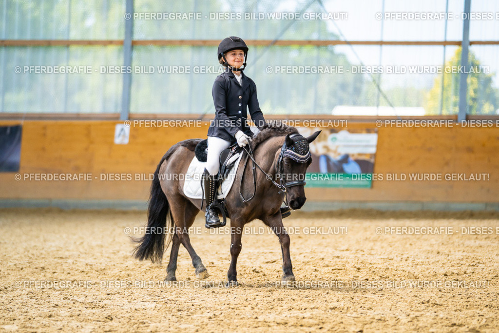 DSC09059 | Pferdegrafie