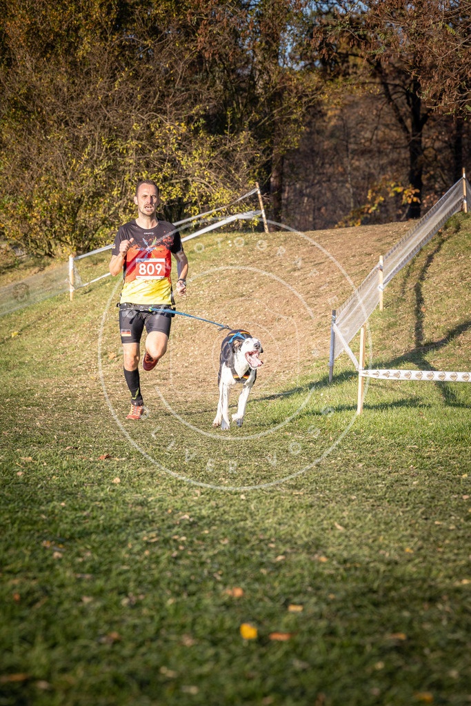 CaniXpix_0L8A0373 | Hundefotografie, Tierfotograf, Pfotenfotografie, Fotoshooting Hund, Hunde Portrait, Hundesport, Hundeportraits, Heideshooting, Hunde, Sportfotograf, Hundefotograf, Turnierhundsport, THS,  - Realisiert mit Pictrs.com