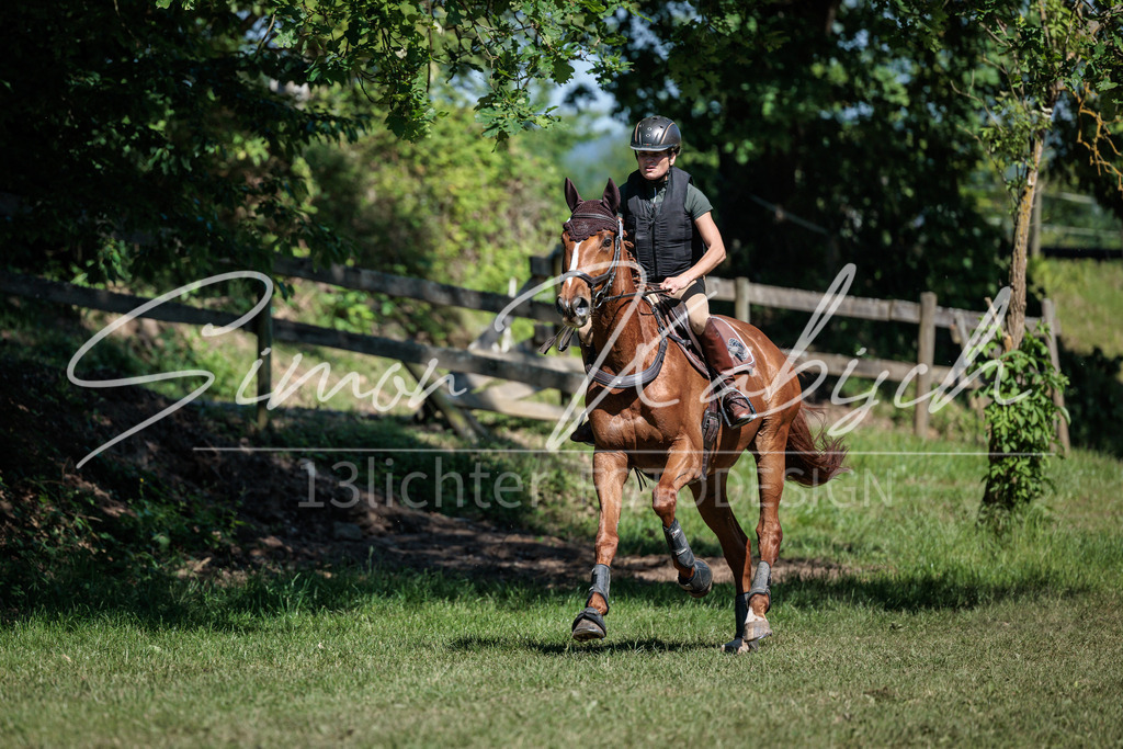 20260523-_3LI7425 | Tierfotografie Pferde, Hunde, Katzen, Haustiere.
Turnierfotografie Reitturniere, Reiten, Springreiten, Dressur in Hanau, dem Main-Kinzig-Kreis und dem Rhein-Main- Gebiet um Frankfurt