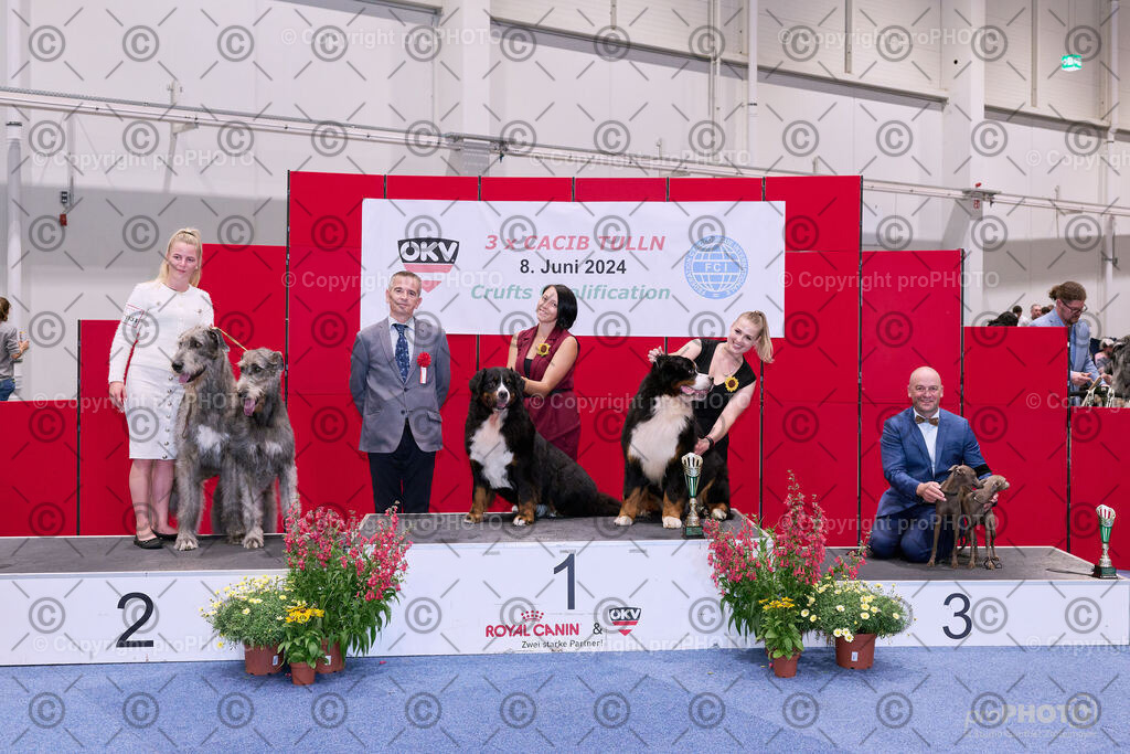 202406_ÖKV-IHA-Tulln24_NZ9_8629 | proPHOTO - Realisiert mit Pictrs.com