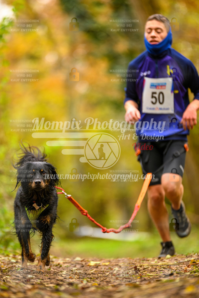 MompixPhotography_Bischwiller24_SA_Canicross-60 | mompixphotography