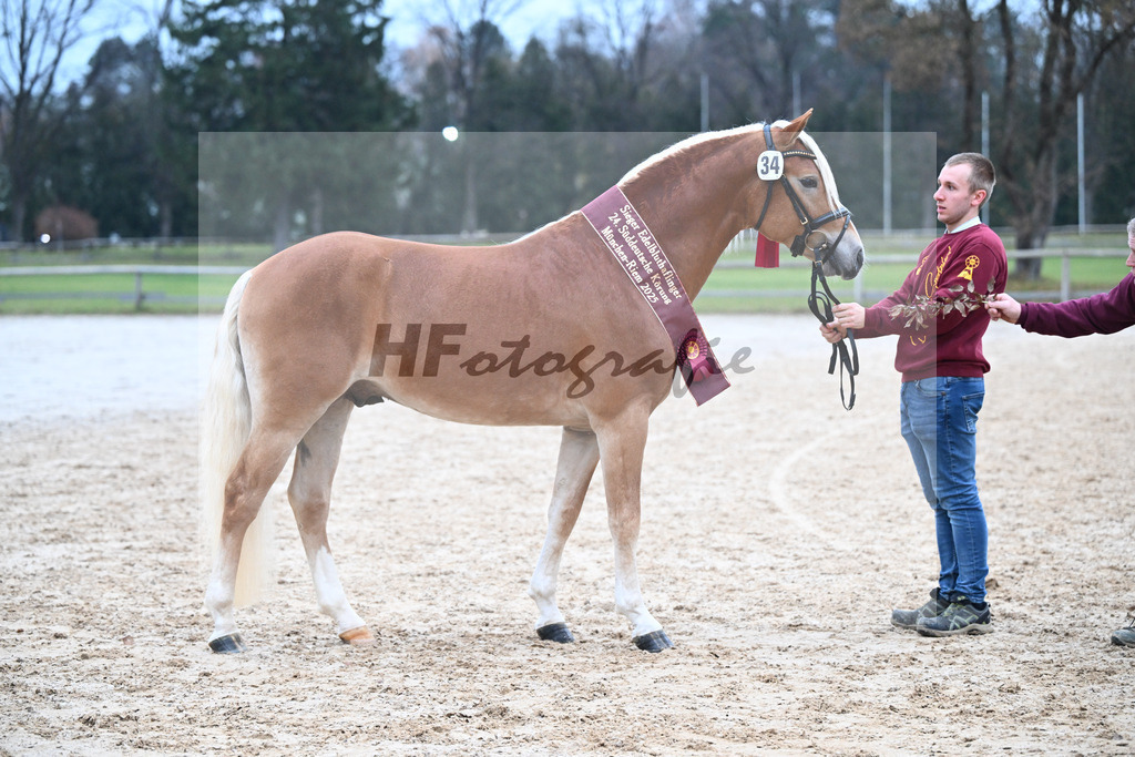 Kat-Nr. 34 nn v. Starino I_Grimminger_48251917 | hf-fotografie - Realisiert mit Pictrs.com