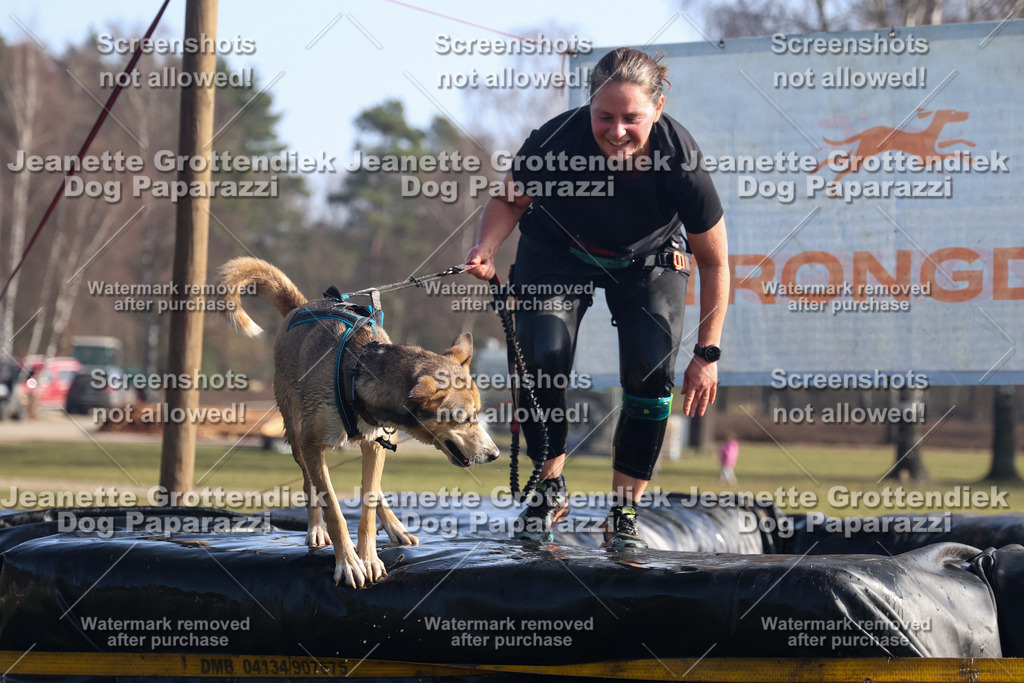 Dog Paparazzi - Strongdog North Mrz26-1111 | Dog Paparazzi Jeanette Grottendiek Fotografie & Videografie - Realisiert mit Pictrs.com