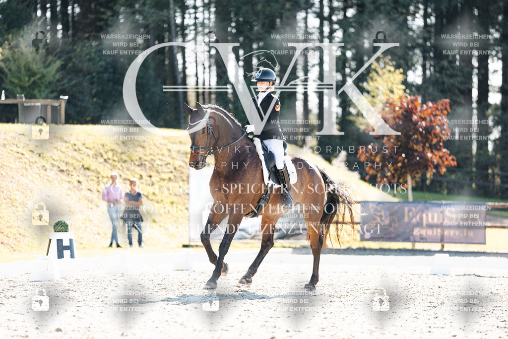 CK905744 | Turnierfotografie Pferdefotografie Trier Rheinland-Pfalz Pferdesport Reitsport Tierfotografie Sportfotografie Pferdevideo Pferdevideografie Equestrianvideography equestrianphotography  - Realisiert mit Pictrs.com
