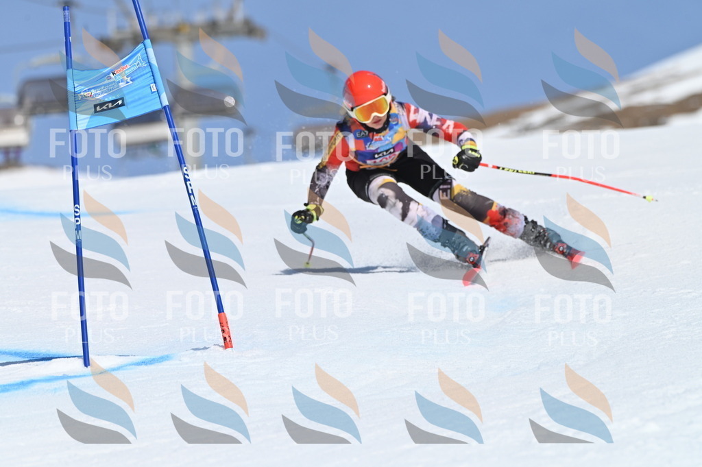 BGV_9562 | holidayphoto