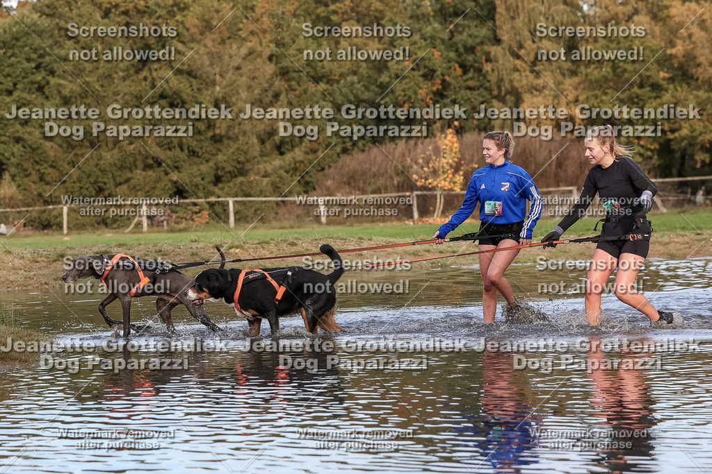 Dog Paparazzi - Strongdog 10-25-8332 | Dog Paparazzi Jeanette Grottendiek Fotografie & Videografie - Realisiert mit Pictrs.com