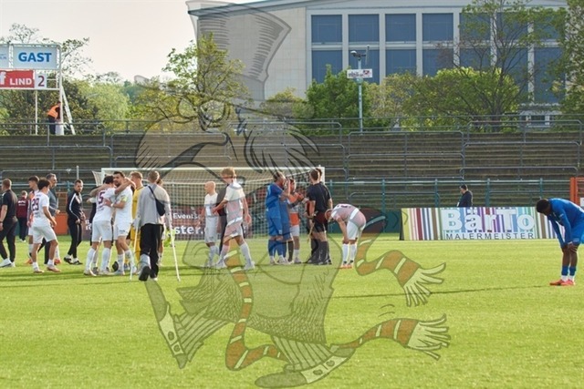 BFC Dynamo vs. VSG Altglienicke 169 | mythos-online-redaktion