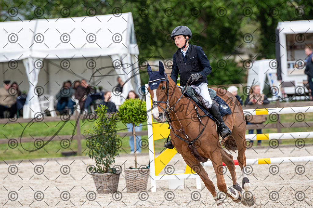 KPT_0289 | andre_photographic