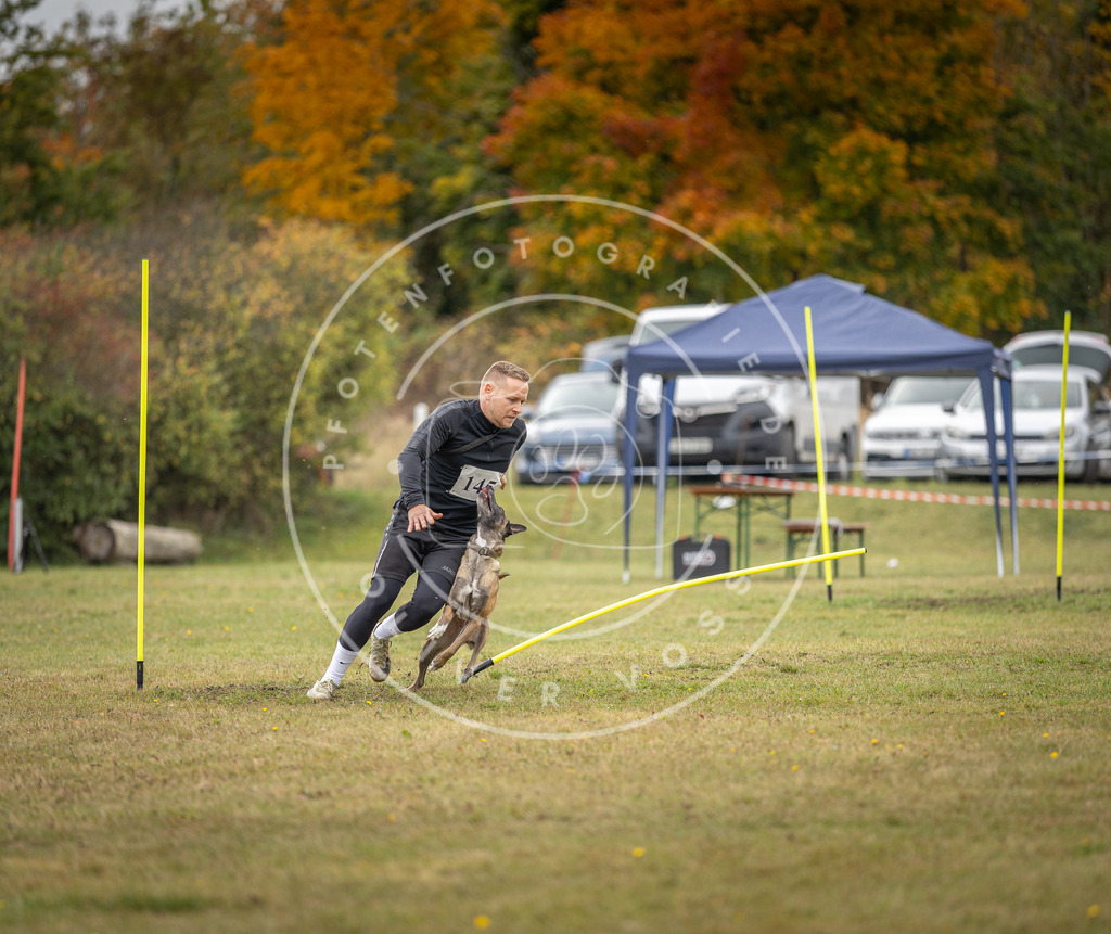 Pfotenfotografie_DV3A8027 | Hundefotografie, Tierfotograf, Pfotenfotografie, Fotoshooting Hund, Hunde Portrait, Hundesport, Hundeportraits, Heideshooting, Hunde, Sportfotograf, Hundefotograf, Turnierhundsport, THS,  - Realisiert mit Pictrs.com