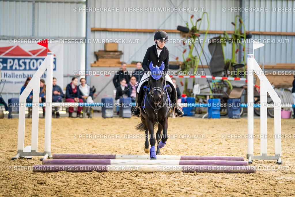 DSC02148 | Pferdegrafie