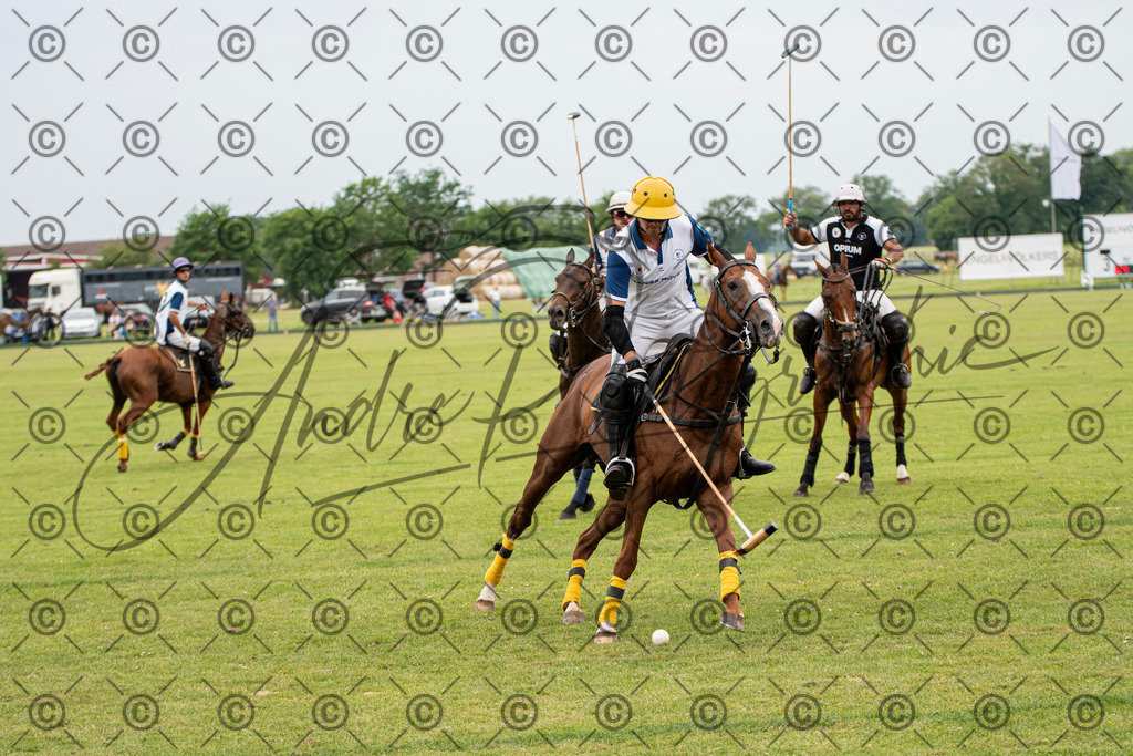 POL_3932 | andre_photographic