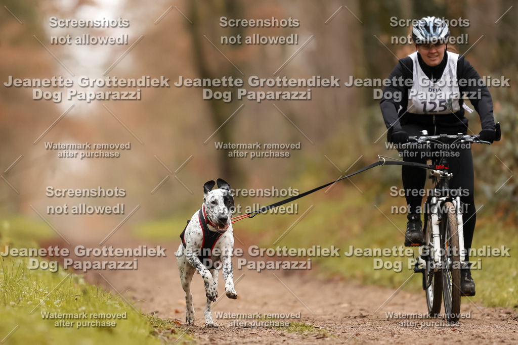 Dog Paparazzi - Speedhunter Mannheim  2025-349 | Dog Paparazzi Jeanette Grottendiek Fotografie & Videografie