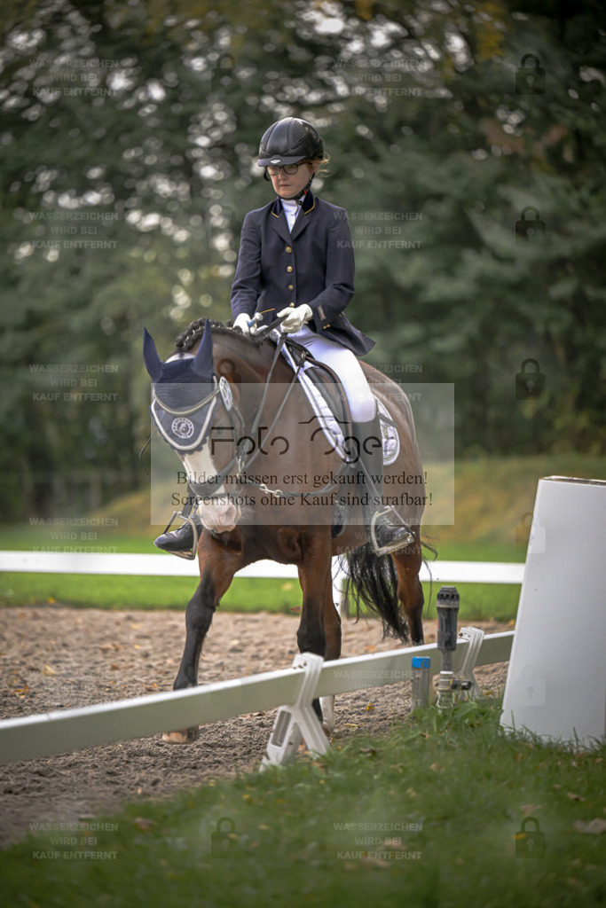 FOTO OGER | Entdecke hochwertige Reitturnierfotos von Foto Oger. Professionell, emotional und authentisch – jetzt Lieblingsmomente im Shop bestellen. - Realisiert mit Pictrs.com