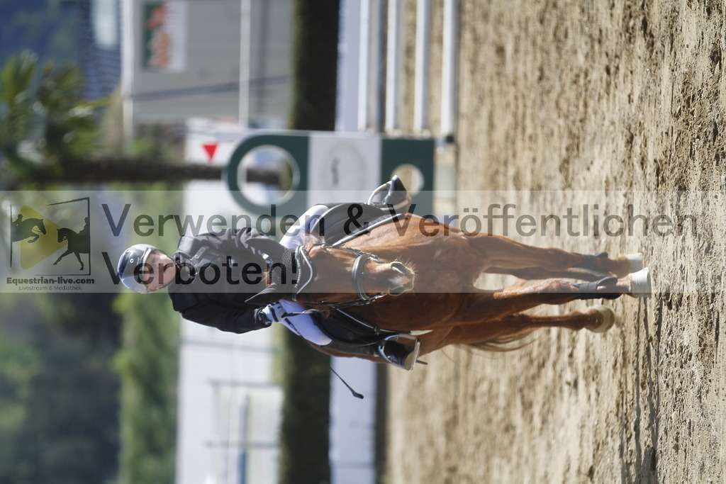 _MG_5130 | equestrian-live-com