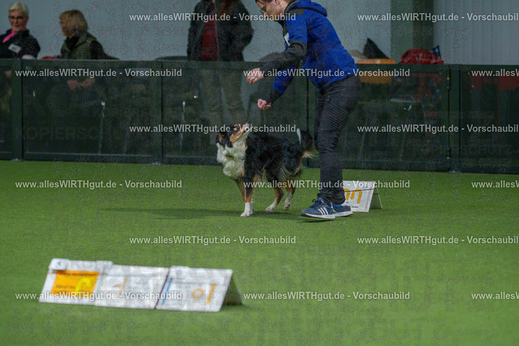 7R508153 | Professionelle Tierfotografie in Mönchengladbach von Daniel Wirth (allesWIRTHgut). Liebevolle & natürliche Bilder von Hunden & Katzen für unvergessliche Erinnerungen.