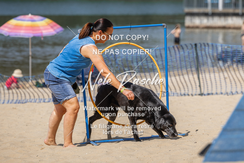 nelerasche_saBeachility_557 | nelerasche