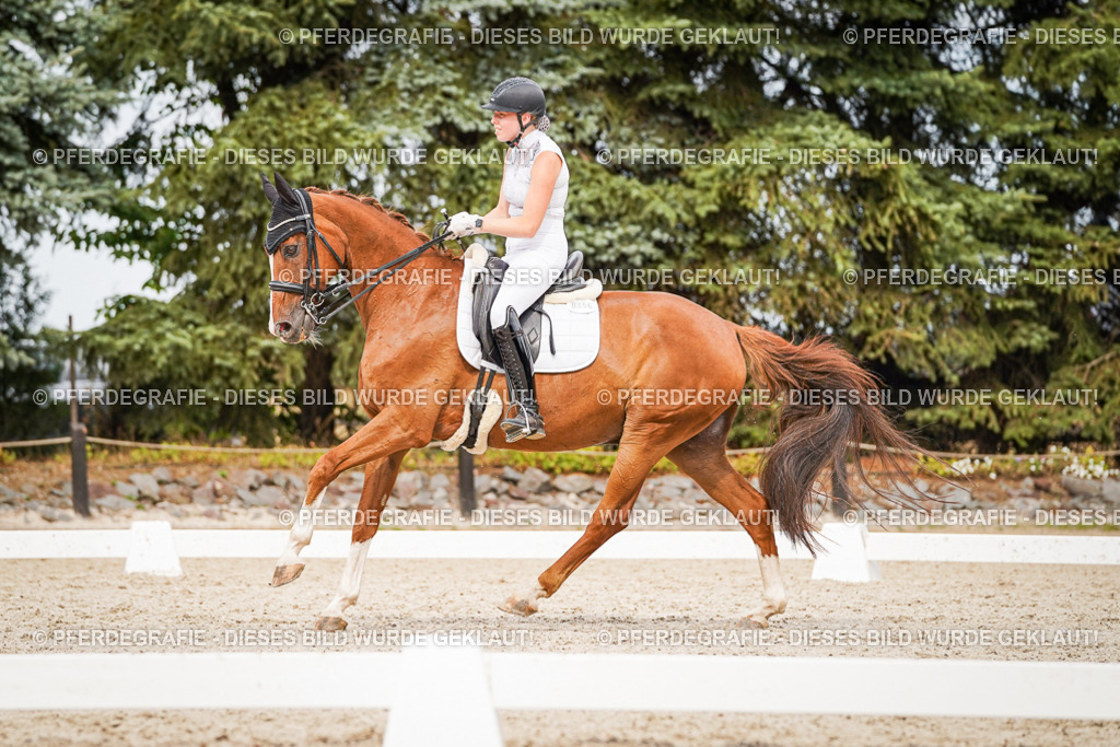 DSC07316 | Pferdegrafie