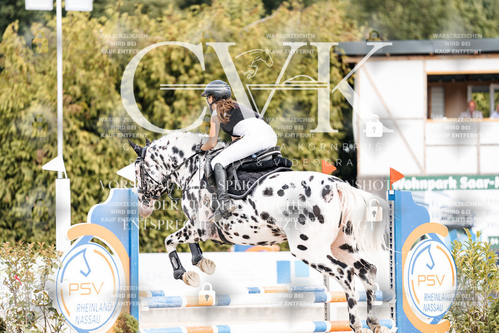 CK908939 | Turnierfotografie Pferdefotografie Trier Rheinland-Pfalz Pferdesport Reitsport Tierfotografie Sportfotografie Pferdevideo Pferdevideografie Equestrianvideography equestrianphotography  - Realisiert mit Pictrs.com