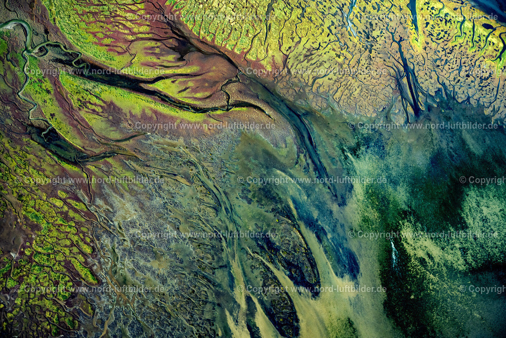 Memmert_Seegraswiesen_ELS_3851231021 | NORDSEEINSEL MEMMERT 23.10.2021 Kurvenförmige Schleifen mehrerer Fluss- Verläufe auf der grünen naturgeschützten Nordsee- Insel Memmert bei Juist mit Wattenmeer und vorgelagerter Sandbank Kachelotplate im Bundesland Niedersachsen. Weiterführende Informationen bei: Niedersächsischer Landesbetrieb für Wasserwirtschaft, Küsten- und Naturschutz. // Curved loops of several converging rivers flowing into the Wadden Sea on the green environmentally protected North Sea island Memmert in Juist and the sandbank Kachelotplate in the state Lower Saxony. Further information at: Niedersaechsischer Landesbetrieb fuer Wasserwirtschaft, Kuesten- und Naturschutz. Foto: Martin Elsen