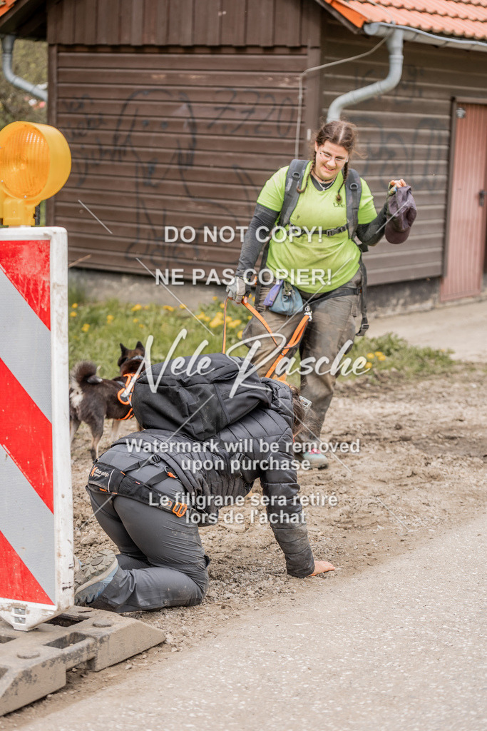6Z1A2144 | nelerasche
