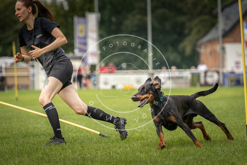 Pfotenfotografie_DV3A0615 | Hundefotografie, Tierfotograf, Pfotenfotografie, Fotoshooting Hund, Hunde Portrait, Hundesport, Hundeportraits, Heideshooting, Hunde, Sportfotograf, Hundefotograf, Turnierhundsport, THS,  - Realisiert mit Pictrs.com