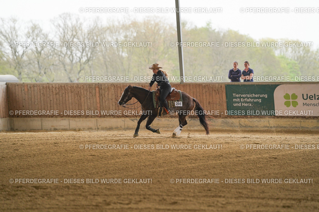 DSC07403 | Pferdegrafie