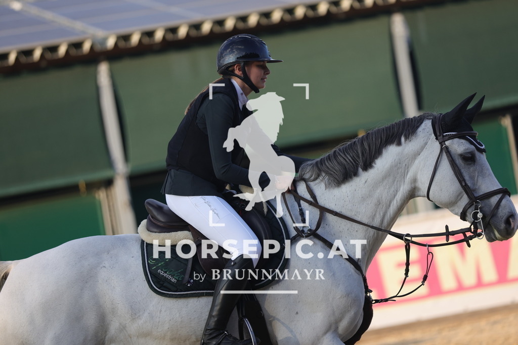 0P6A4328 | Willkommen bei Brunnmayr - Design & Fotografie – Ihrem Spezialisten für Reitturniere und Pferdeveranstaltungen in Oberösterreich, Salzburg und Bayern! Seit über 17 Jahren sind wir leidenschaftlich dabei.
