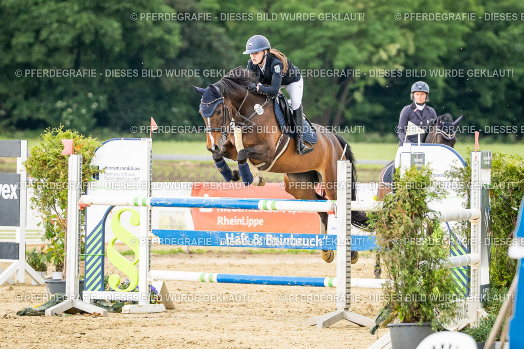 DSC06711 | Pferdegrafie