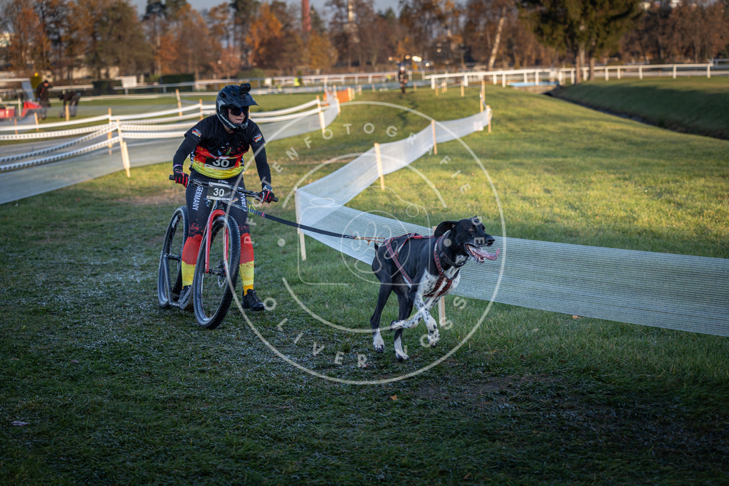 CaniXpix_0L8A2133 | Hundefotografie, Tierfotograf, Pfotenfotografie, Fotoshooting Hund, Hunde Portrait, Hundesport, Hundeportraits, Heideshooting, Hunde, Sportfotograf, Hundefotograf, Turnierhundsport, THS,  - Realisiert mit Pictrs.com
