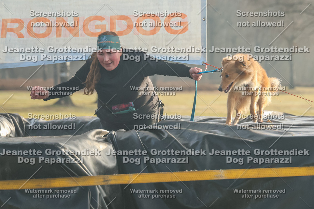 Dog Paparazzi - SD North Sa 830-900-71 | Dog Paparazzi Jeanette Grottendiek Fotografie & Videografie - Realisiert mit Pictrs.com