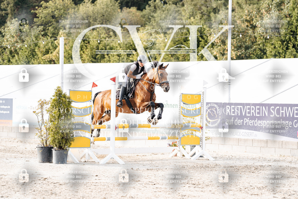 CK906897 | Turnierfotografie Pferdefotografie Trier Rheinland-Pfalz Pferdesport Reitsport Tierfotografie Sportfotografie Pferdevideo Pferdevideografie Equestrianvideography equestrianphotography  - Realisiert mit Pictrs.com