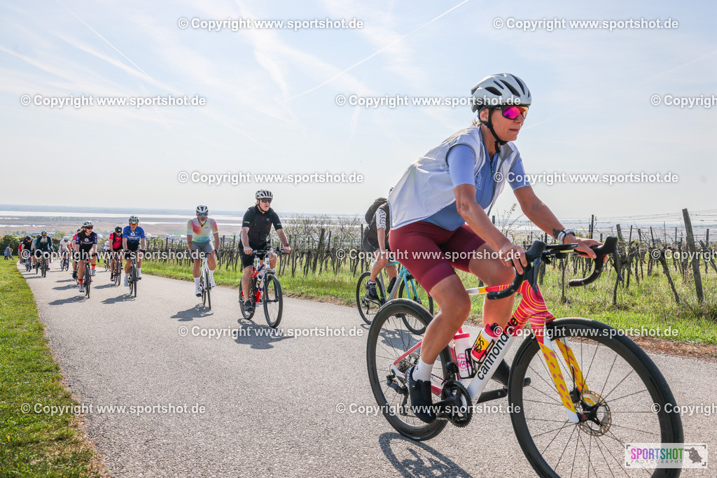 007A0708 | Neusiedlersee Radmarathon #neusiedlerseeradmarathon #neusiedlersee #nrm26 #yourpictrs #sportshot_your_pictrs