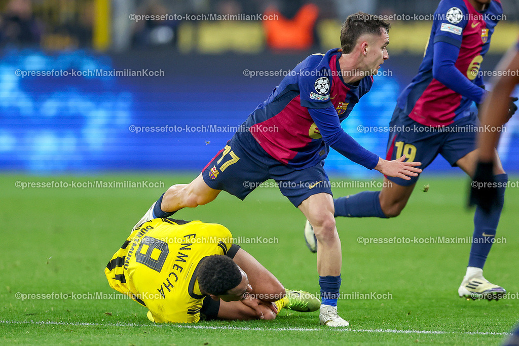 UCL11122401024 | 11.12.2024, UEFA Champions League, Borussia Dortmund - FC Barcelona, 8. Spieltag, Signal Iduna Park, Saison 2024 2025: Marc Casado (Barca #17) im Zweikampf gegen Felix Nmecha (BVB #8)