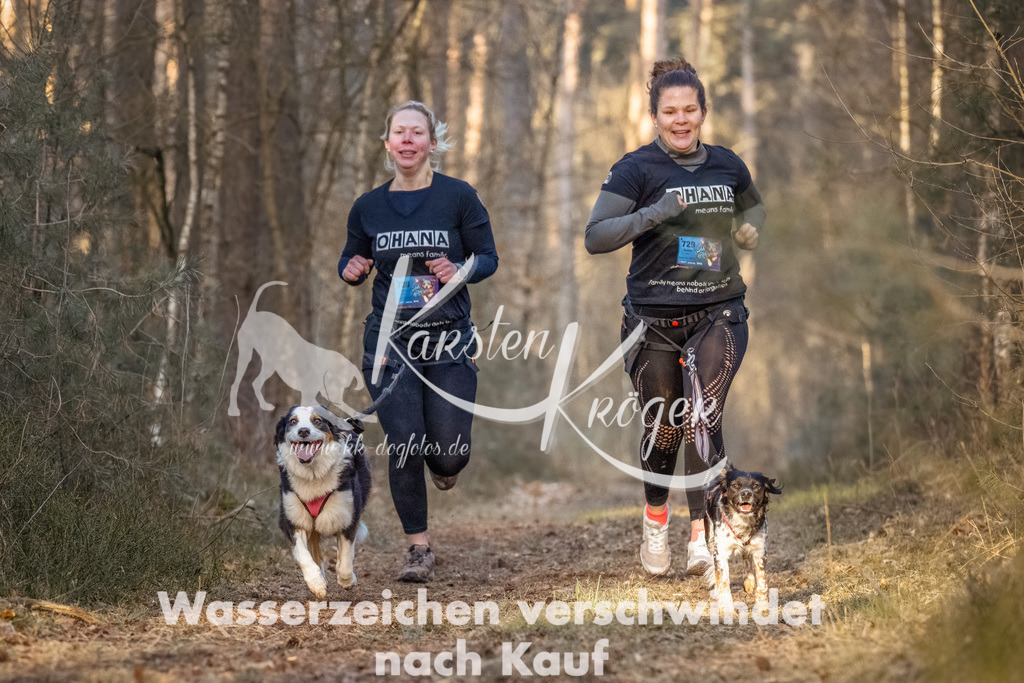 0808_ZZ99498-Bearbeitet | kk-dogfotos