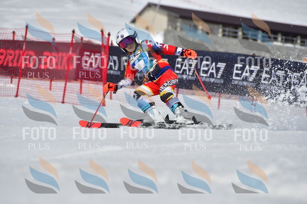 _DSC7503 | holidayphoto