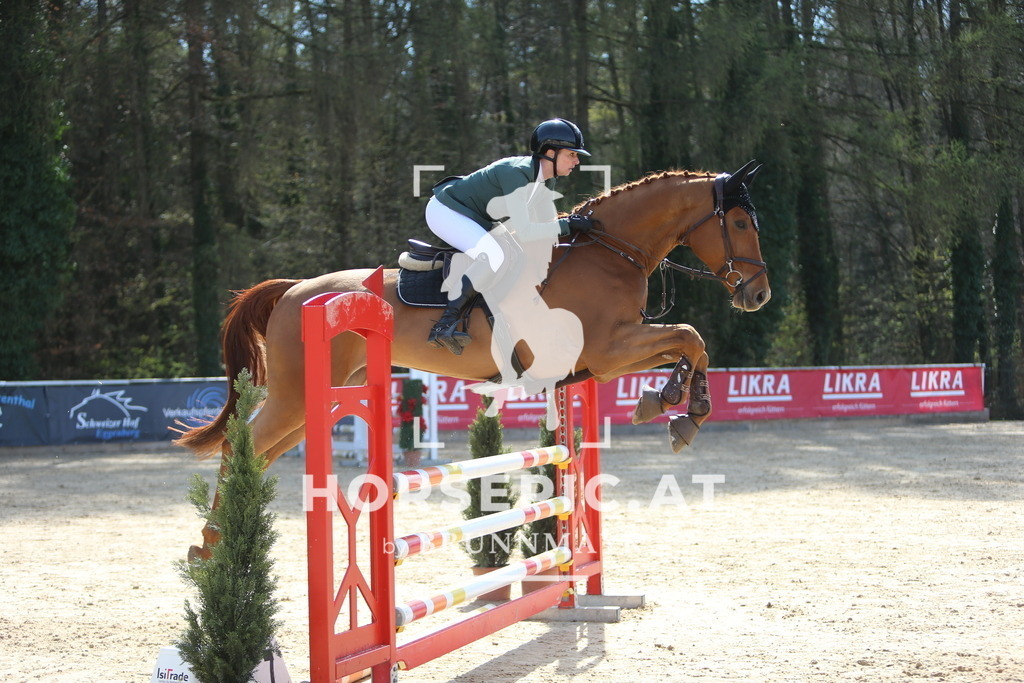 DL2Q0713 | Willkommen bei Brunnmayr - Design & Fotografie – Ihrem Spezialisten für Reitturniere und Pferdeveranstaltungen in Oberösterreich, Salzburg und Bayern! Seit über 17 Jahren sind wir leidenschaftlich dabei.