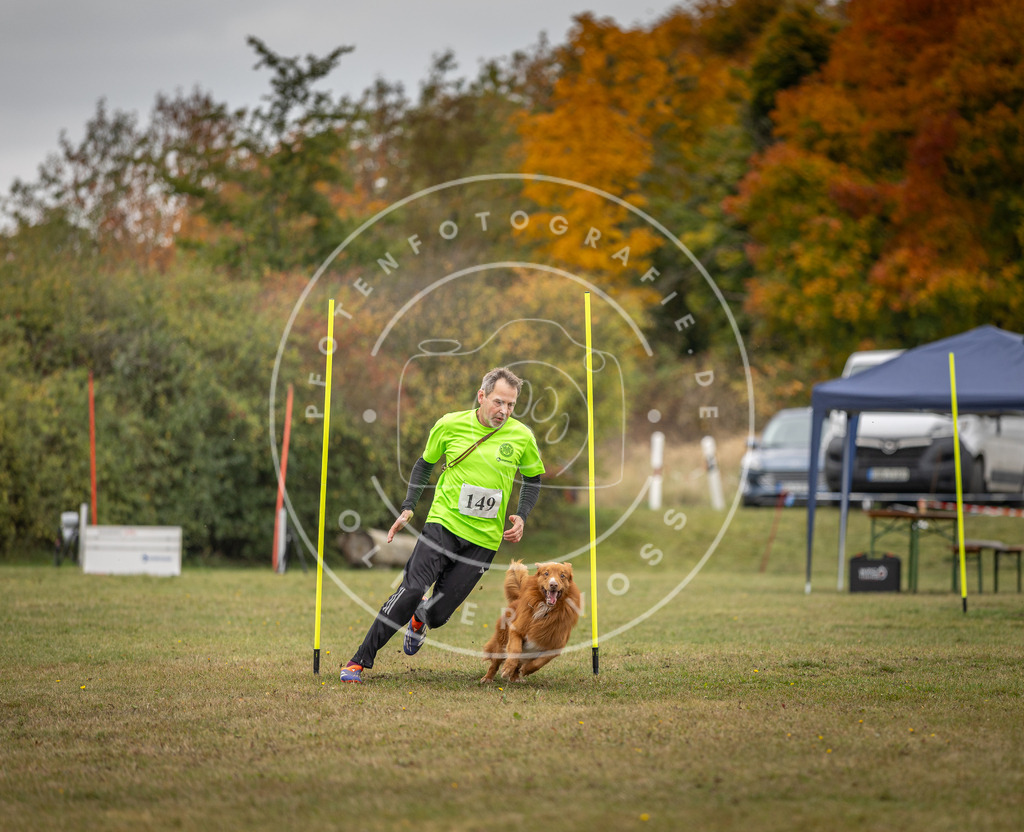 Pfotenfotografie_DV3A6319 | Hundefotografie, Tierfotograf, Pfotenfotografie, Fotoshooting Hund, Hunde Portrait, Hundesport, Hundeportraits, Heideshooting, Hunde, Sportfotograf, Hundefotograf, Turnierhundsport, THS,  - Realisiert mit Pictrs.com
