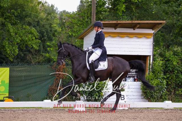 DKP41684 | Turnierfotos kaufen im Webshop von Daniel Kuhl Photography – entdecke professionelle Reitsportfotos aus Turnieren & Events. Hochwertige Turnierbilder online bestellen & sichern. Jetzt Fotos von Reitsportturnieren kaufen!