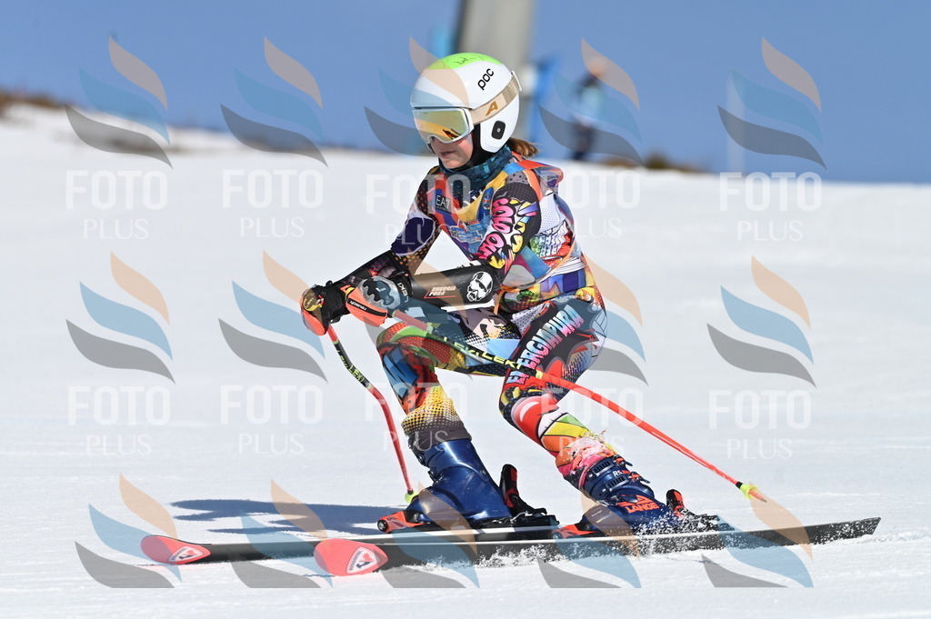 BGV_7697 | holidayphoto