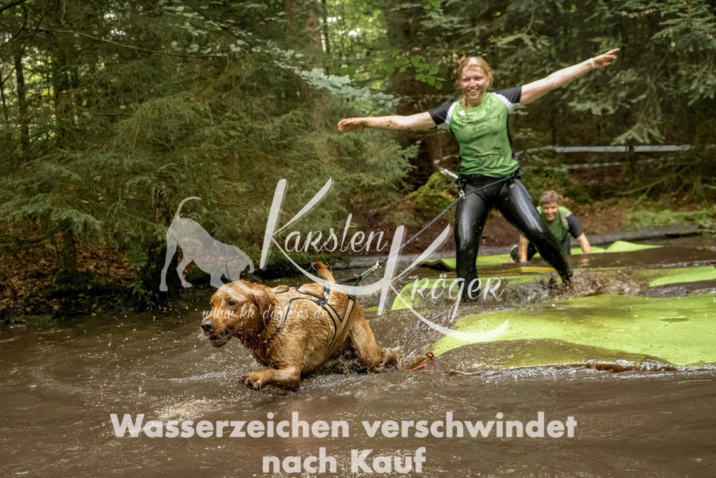 1227_ZZ94696-Bearbeitet | kk-dogfotos