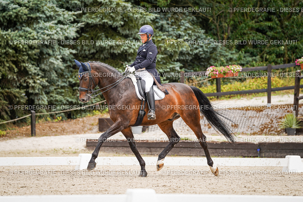 DSC04982 | Pferdegrafie