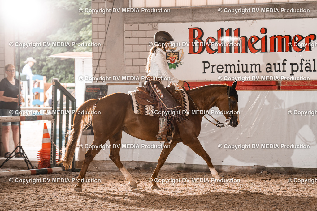 ZH200475 | dv-media-shop - Realisiert mit Pictrs.com