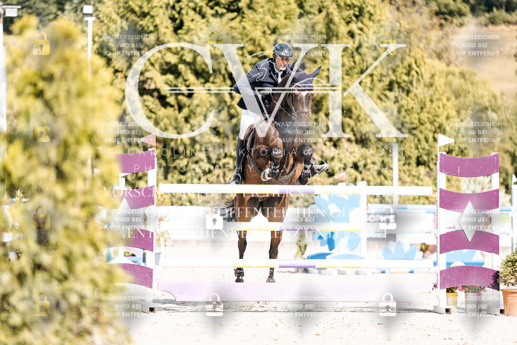 CK909008 | Turnierfotografie Pferdefotografie Trier Rheinland-Pfalz Pferdesport Reitsport Tierfotografie Sportfotografie Pferdevideo Pferdevideografie Equestrianvideography equestrianphotography  - Realisiert mit Pictrs.com
