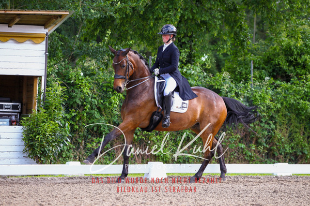 DKP41706 | Turnierfotos kaufen im Webshop von Daniel Kuhl Photography – entdecke professionelle Reitsportfotos aus Turnieren & Events. Hochwertige Turnierbilder online bestellen & sichern. Jetzt Fotos von Reitsportturnieren kaufen!