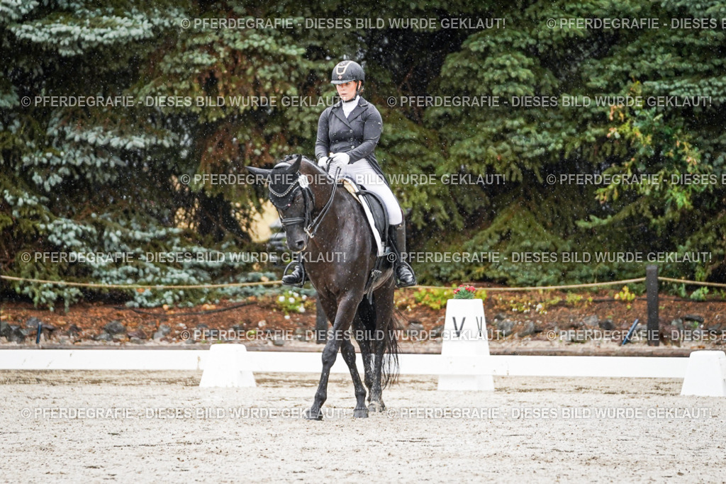 DSC08403 | Pferdegrafie