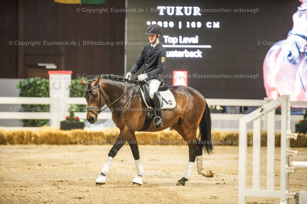 20240302_Hengstvorstellung_Marbach_TOMsPiC_0147 | equistock