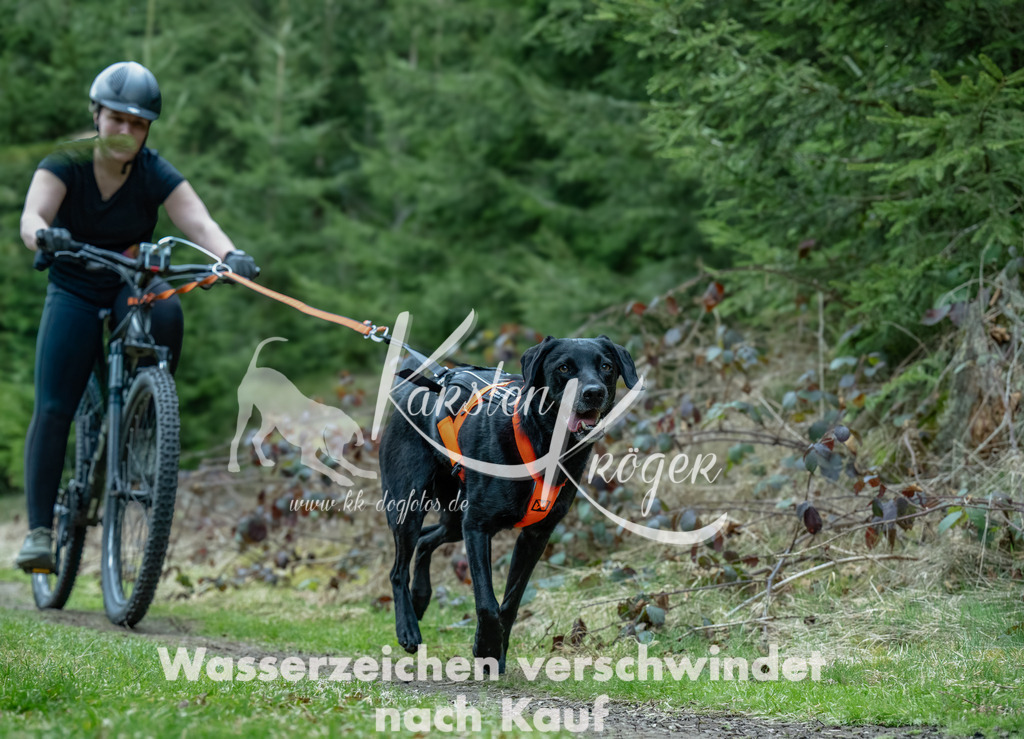 1309_ZZ93759-Bearbeitet | kk-dogfotos