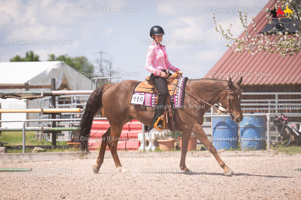 LMB08079 | BS-foto